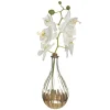 VASE ORCHIDEE EDITION H.40CM